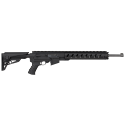 Ruger AR-22 Taclite Conversion kit